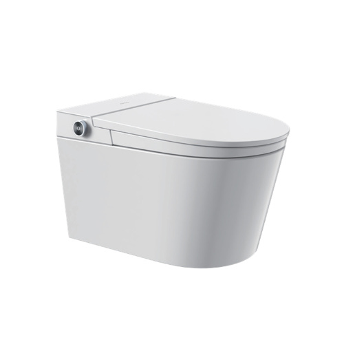 Умный унитаз P30