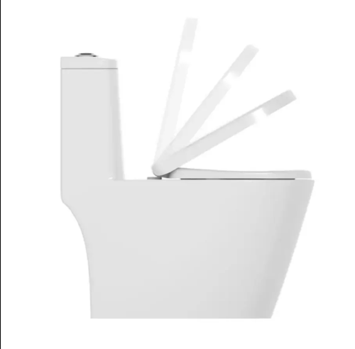 Напольный унитаз моноблок 11213 фото 2