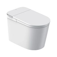 Умный унитаз TS30